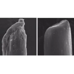 Olaplex No.4 Bond Maintenance Shampoo 250ml -Cosmetic Care Store 12164501 7434769697383487