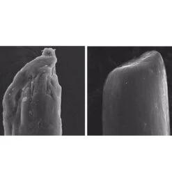 Olaplex No.5 Conditioner & Olaplex No.4P Shampoo 250ml Duo -Cosmetic Care Store 12164549 1484769697660231 82f1e667 e172 46bf ad85 3623d80e8f5f