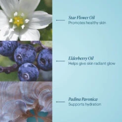 Elemis Pro-Collagen Cleansing Balm 19 Elemis Pro-Collagen Cleansing Balm -Cosmetic Care Store 3 cleansingbalm ingredients 2000x2000 1